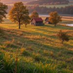 nursing jobs in australia with sponsorship in rural areas
